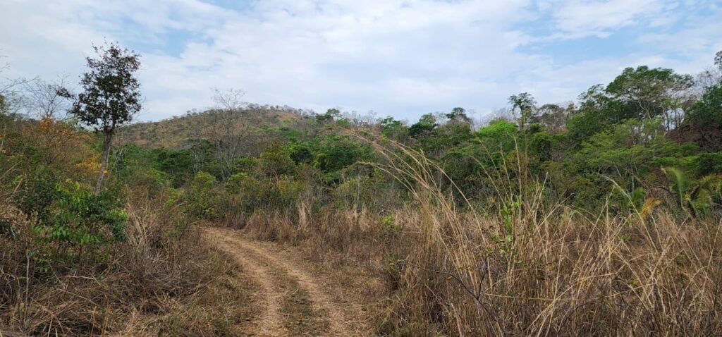 Chácara 11ha Beira Rio São Miguel – 17km de São Jorge – Chapada dos Veadeiros