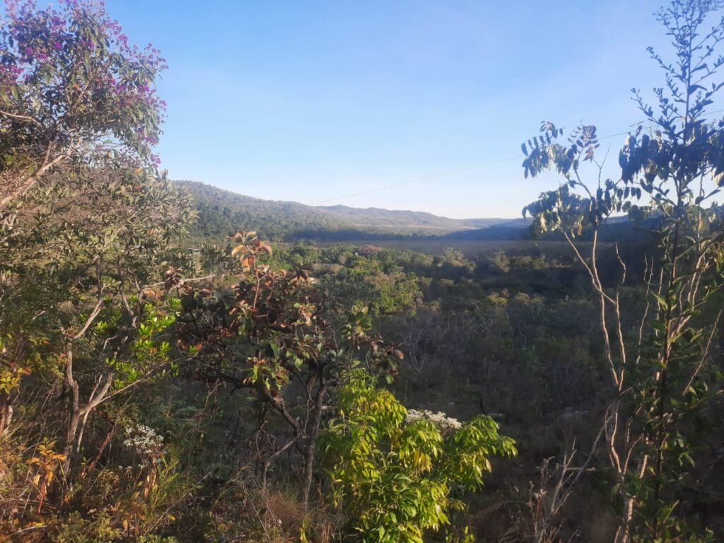 Chácara 4ha Beira Rio dos Couros – Casa Exótica e Ecológica – 12 km Alto Paraíso sentido São Jorge