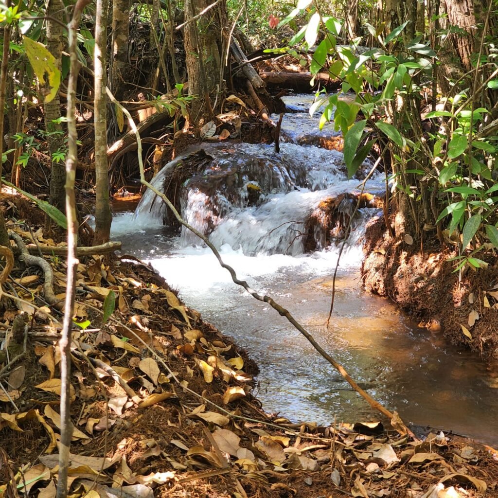 Fazenda 100ha- Rio – Casa Sede – 13km de Alto Paraíso e 1km de Terra
