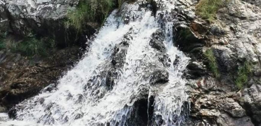 Pousada – Rio – Poço para Banho – Moinho – 4.000m2 – 12km de Alto Paraíso de Goiás