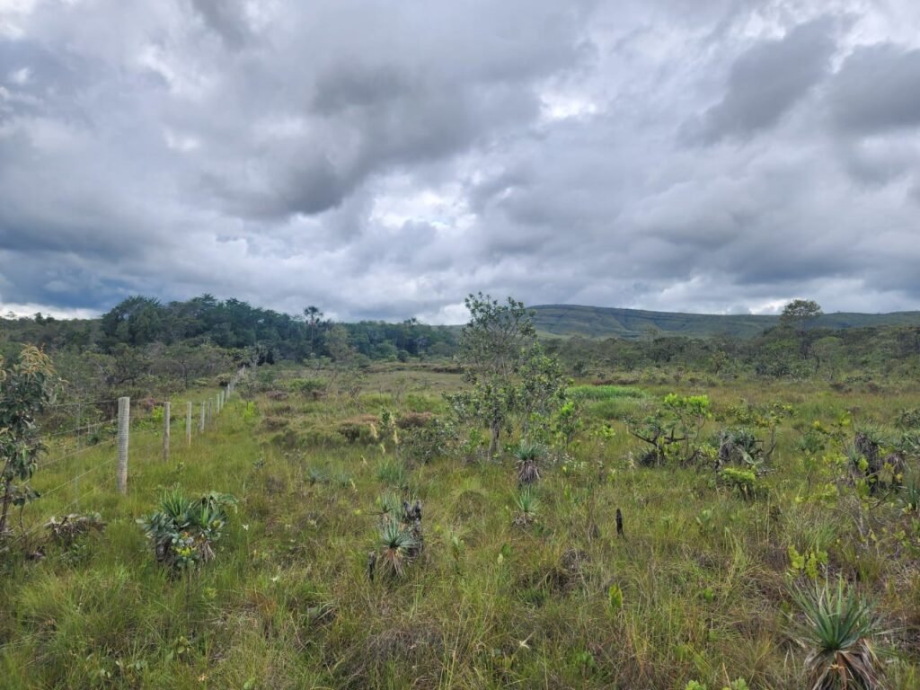 Chácara – Porteira Fechada – Rio – 5.7ha -Vale Verde – Alto Paraíso de Goiás