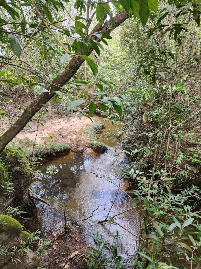 Chácara 5,30ha – Rio – Morro da Baleia – 13 km de Alto Paraíso de Goiás sentido São Jorge