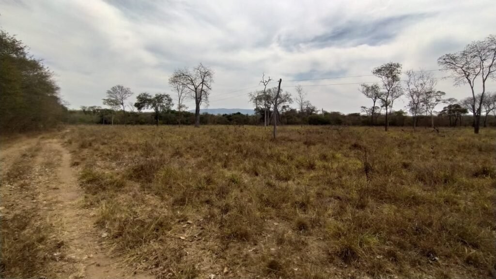Fazenda 51ha – Beira Rio – Sertão – Alto Paraíso de Goiás