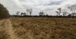 Fazenda 51ha – Beira Rio – Sertão – Alto Paraíso de Goiás