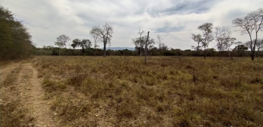 Fazenda 51ha – Beira Rio – Sertão – Alto Paraíso de Goiás