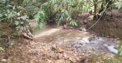 Casa – Rio – Lote 9.000 m2 – Alto Paraíso de Goiás