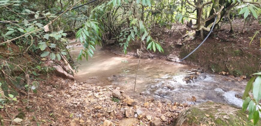 Casa – Rio – Lote 9.000 m2 – Alto Paraíso de Goiás