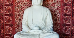 Vende-se Linda Casa Mística – Área de Laser – Estância Paraíso – Alto Paraíso de Goiás Vende-se Linda Casa Mística – Área de Laser – Estância Paraíso – Alto Paraíso de Goiás