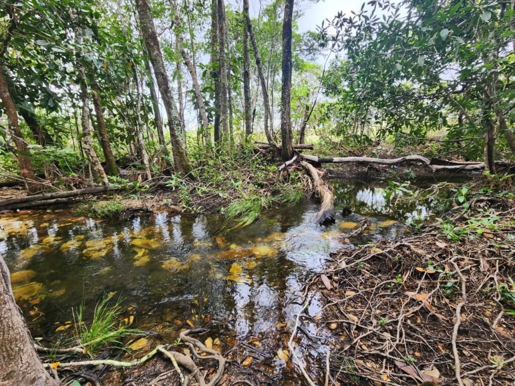 Chácara – Porteira Fechada – Rio – 5.7ha -Vale Verde – Alto Paraíso de Goiás