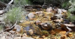 Casa – Rio – Loquinhas – Alto Paraíso de Goiás Casa – Rio – Loquinhas – Alto Paraíso de Goiás