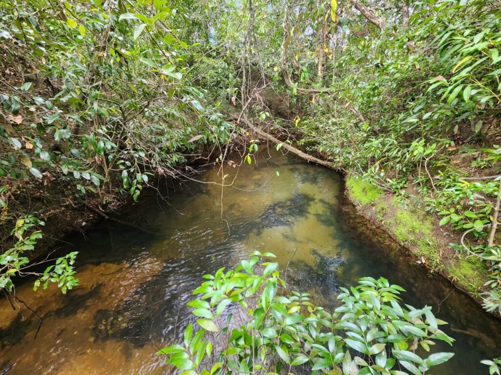 Chácara 5,30ha – Rio – Morro da Baleia – 13 km de Alto Paraíso de Goiás sentido São Jorge