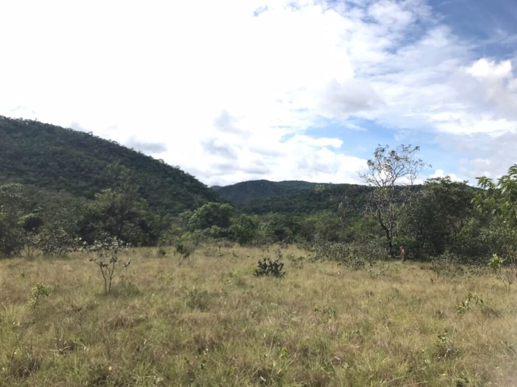 Chácara Suçuarana com acesso ao rio, Próximo a Cachoeira do Poço Encantado – Chapada dos Veadeiros