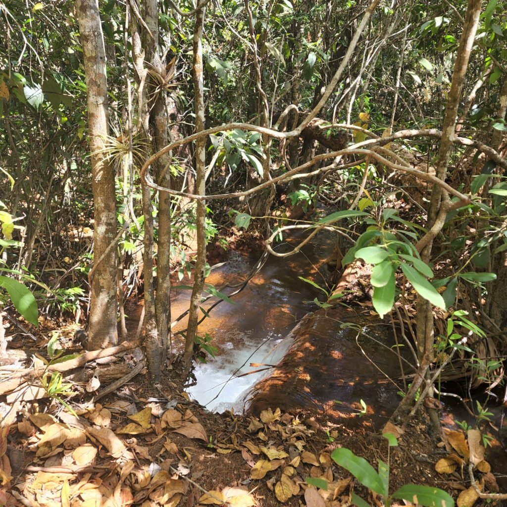 Fazenda 100ha- Rio – Casa Sede – 13km de Alto Paraíso e 1km de Terra