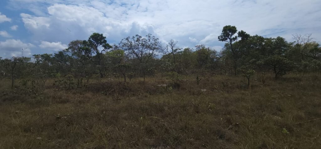 Chácara 4 ha – 13 km de Alto Paraíso sentido São Jorge