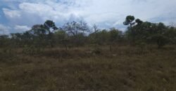 Chácara 4 ha – 13 km de Alto Paraíso sentido São Jorge