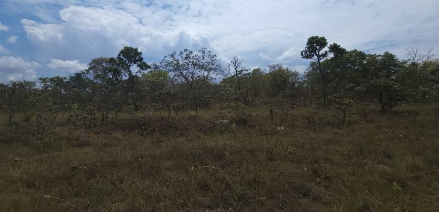 Chácara 4 ha – 13 km de Alto Paraíso sentido São Jorge