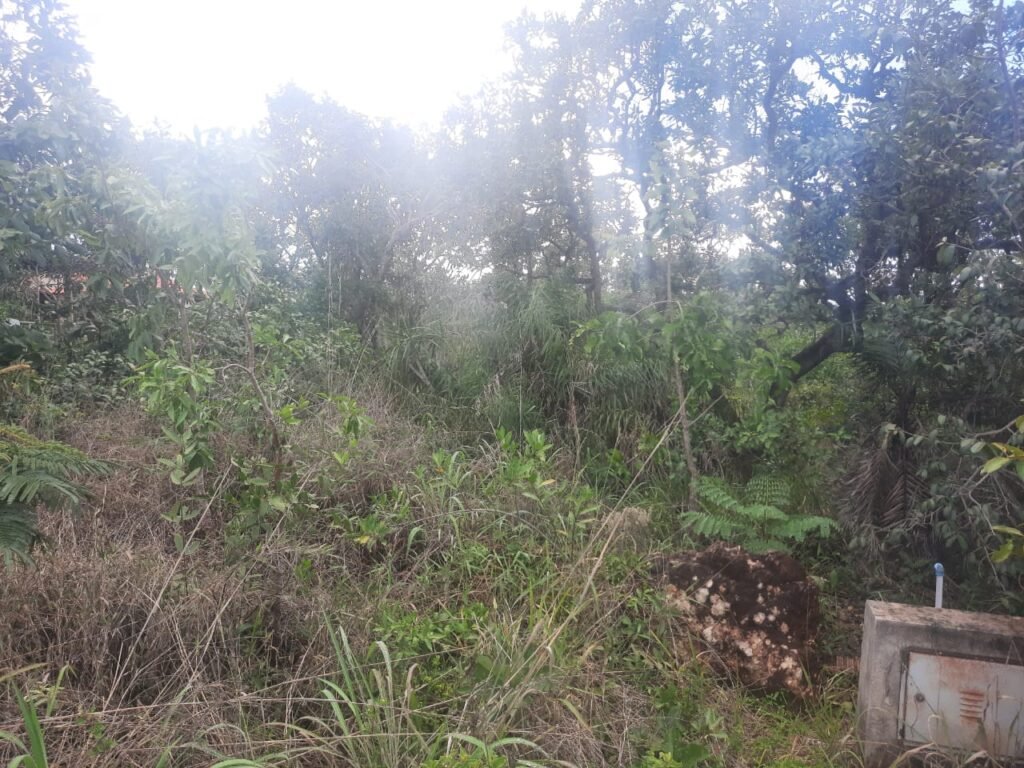 Lote 528m2 – R. Cadido Paulino – Eldorado – Alto Paraíso