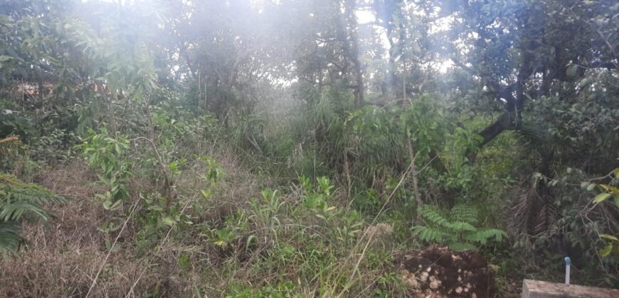 Lote 528m2 – R. Cadido Paulino – Eldorado – Alto Paraíso