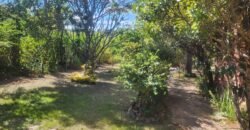 Oportunidade Exclusiva! Pousada à Venda em Cavalcante – Lote 2.000 m2 – Chapada dos Veadeiros Oportunidade Exclusiva! Pousada à Venda em Cavalcante – Lote 2.000 m2 – Chapada dos Veadeiros