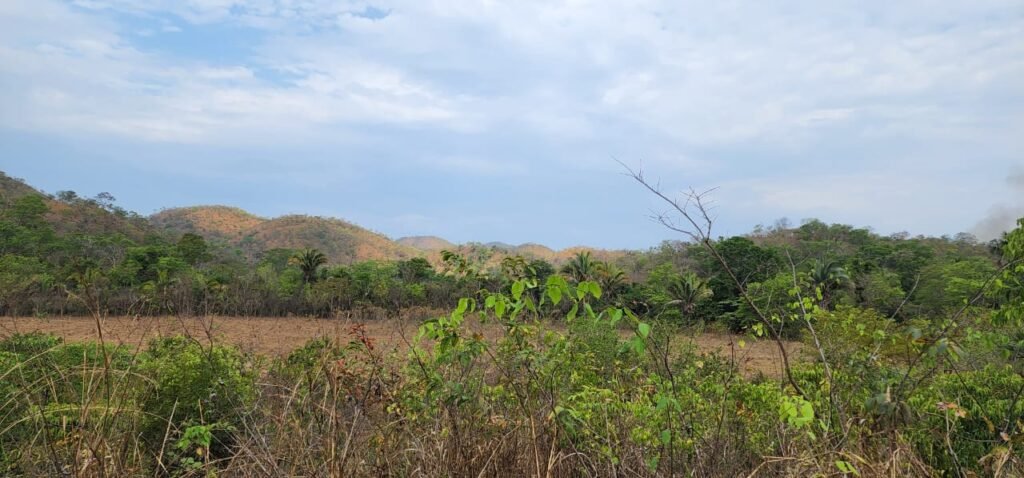 Chácara 11ha Beira Rio São Miguel – 17km de São Jorge – Chapada dos Veadeiros