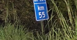 Área 4.7ha – Fazenda São Bento – Margem GO 239 – 7 km de Alto Paraíso sentido São Jorge