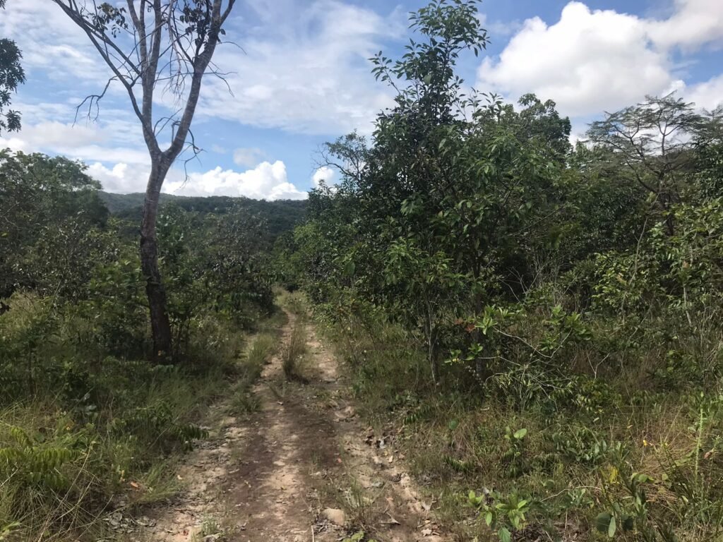 Chácara Suçuarana com acesso ao rio, Próximo a Cachoeira do Poço Encantado – Chapada dos Veadeiros