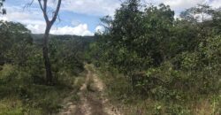 Chácara Suçuarana com RIO, Próximo a Cachoeira do Poço Encantado – Chapada dos Veadeiros