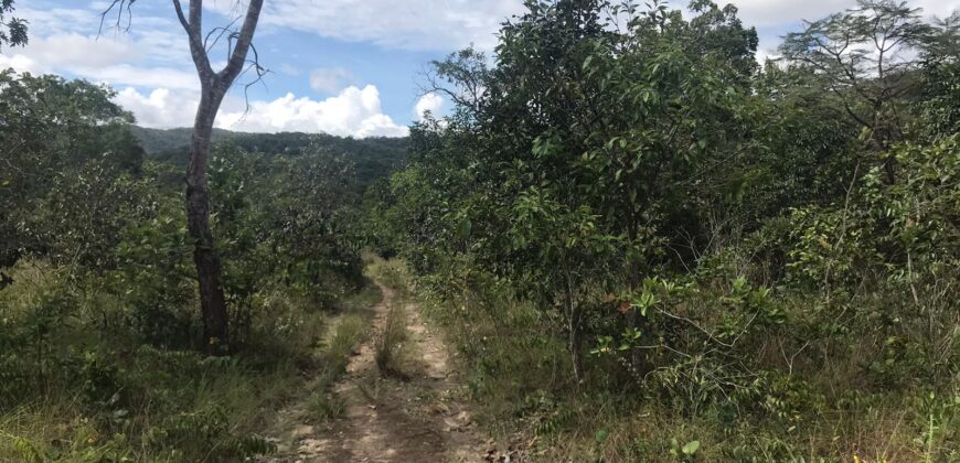 Chácara Suçuarana com RIO, Próximo a Cachoeira do Poço Encantado – Chapada dos Veadeiros