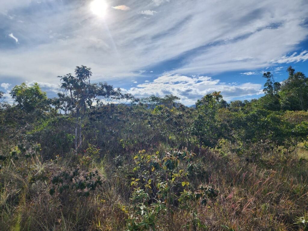 Chácara 5,30ha – Rio – Morro da Baleia – 13 km de Alto Paraíso de Goiás sentido São Jorge