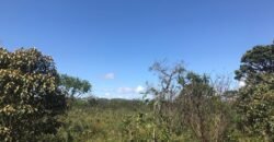 Chácara 4ha – 4km de Alto Paraíso Sentido Cachoeira dos Cristais