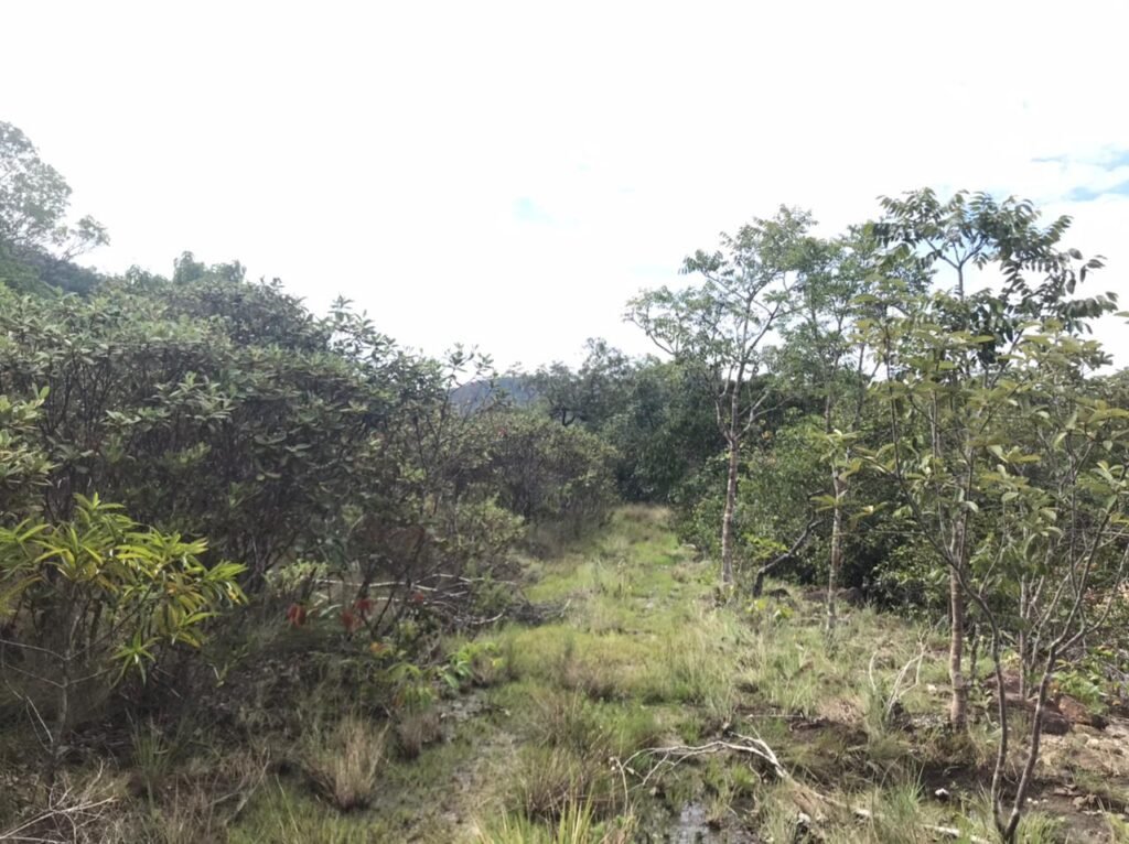 Chácara Suçuarana com acesso ao rio, Próximo a Cachoeira do Poço Encantado – Chapada dos Veadeiros