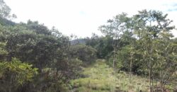 Chácara Suçuarana com RIO, Próximo a Cachoeira do Poço Encantado – Chapada dos Veadeiros