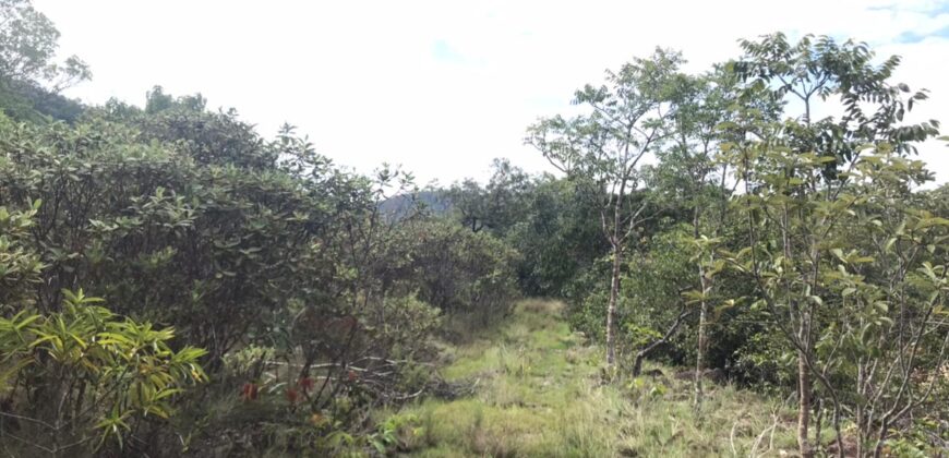 Chácara Suçuarana com RIO, Próximo a Cachoeira do Poço Encantado – Chapada dos Veadeiros