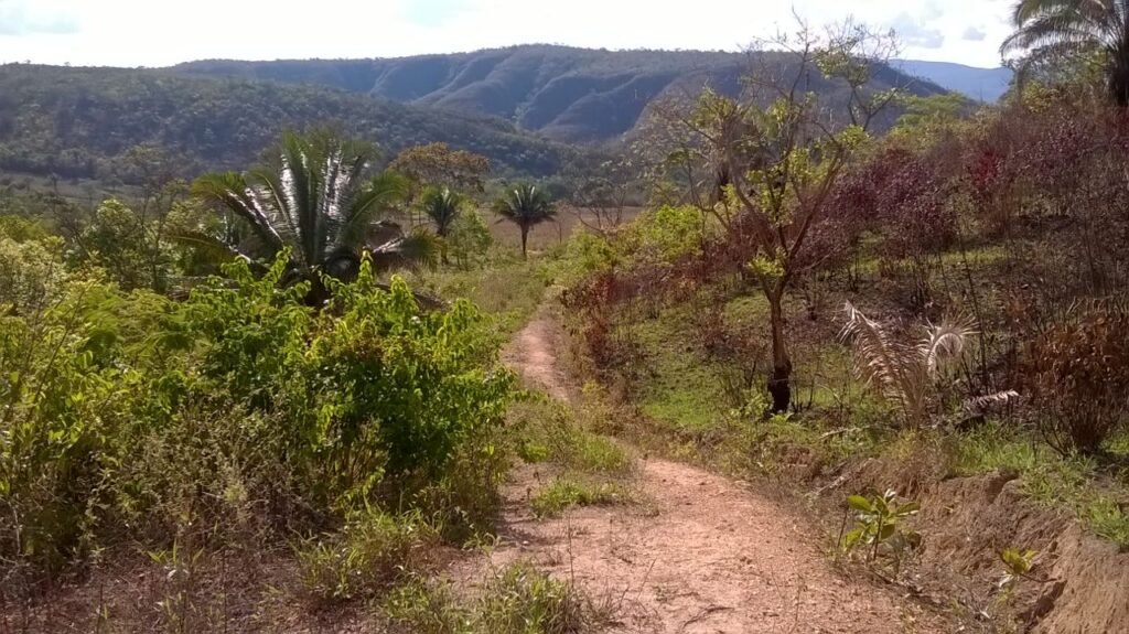 Chácara 14,6ha- Linda Vista – Poço artesiano – na Fazenda Santa Rita – 14km de Alto Paraíso de Goiás