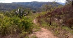 Chácara 14,6ha- Linda Vista – Poço artesiano – na Fazenda Santa Rita – 14km de Alto Paraíso de Goiás Chácara 14,6ha- Linda Vista – Poço artesiano – na Fazenda Santa Rita – 14km de Alto Paraíso de Goiás