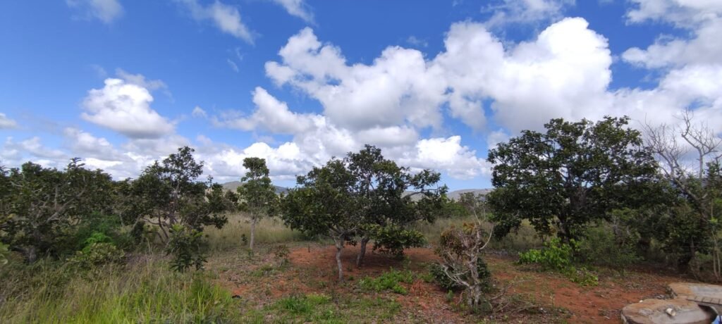 3 Casas Bioconstrução – Condomínio Rural IBC – Rio- 4km de Alto Paraíso de Goiás
