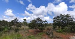 3 Casas Bioconstrução – Condomínio Rural IBC – Rio- 4km de Alto Paraíso de Goiás