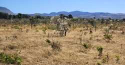 Chácara 4ha – Poço artesiano – 5km de Alto Paraíso sentido Cachoeira dos Cristais – Chapada dos Veadeiros