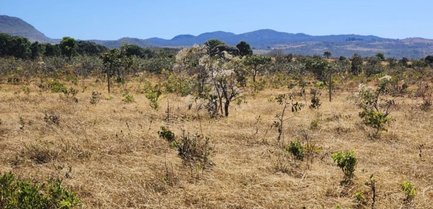 Chácara 4ha – Poço artesiano – 5km de Alto Paraíso sentido Cachoeira dos Cristais – Chapada dos Veadeiros