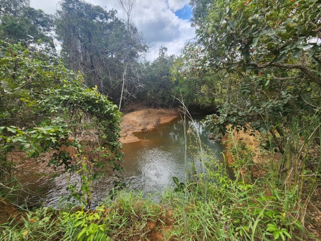 Casa – Rio – área 3,5ha – 9 km da Cachoeira Macaquinhos – Povoado Vereda – Alto Paraíso de Goiás