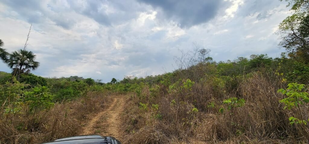 Chácara 11ha Beira Rio São Miguel – 17km de São Jorge – Chapada dos Veadeiros