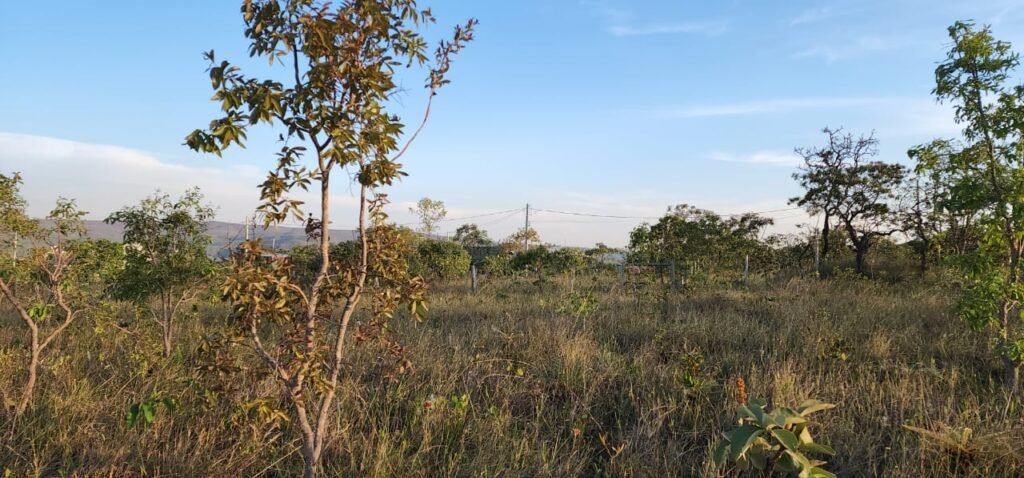 Lote 528m2 – Eldorado 3 – Alto Paraíso