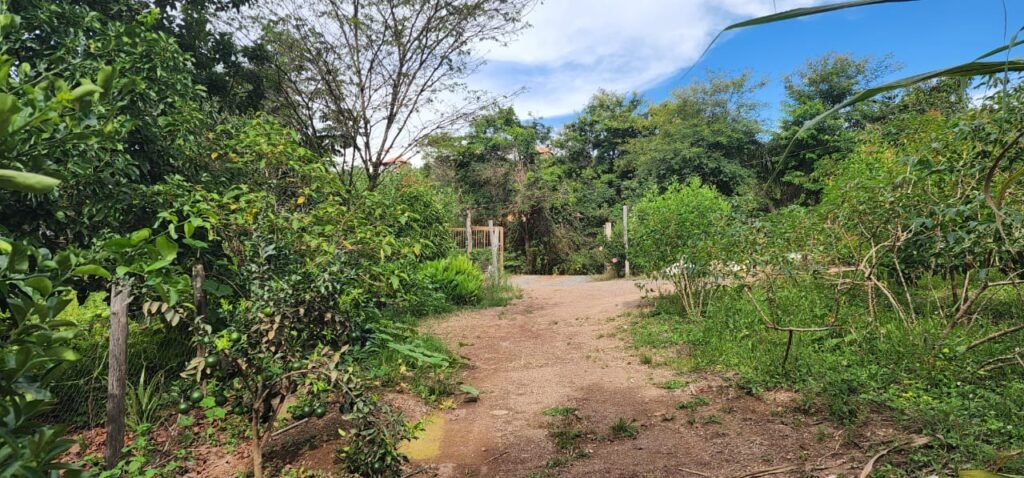 Casa – Rio – Lote 9.000 m2 – Alto Paraíso de Goiás