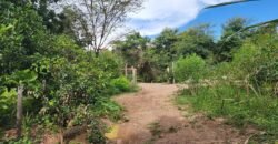 Casa – Rio – Lote 9.000 m2 – Alto Paraíso de Goiás