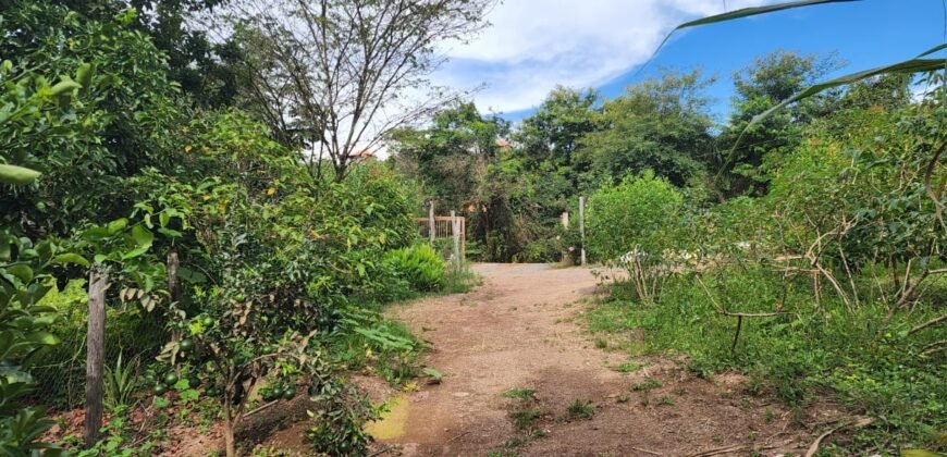 Casa – Rio – Lote 9.000 m2 – Alto Paraíso de Goiás