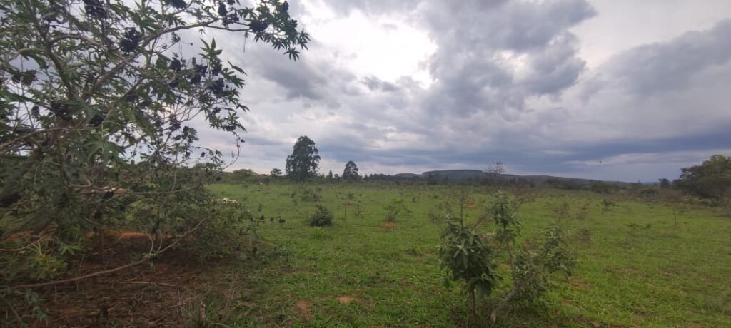 Maravilhosa Chácara 20ha – Recifra – Alto Paraíso de Goiás