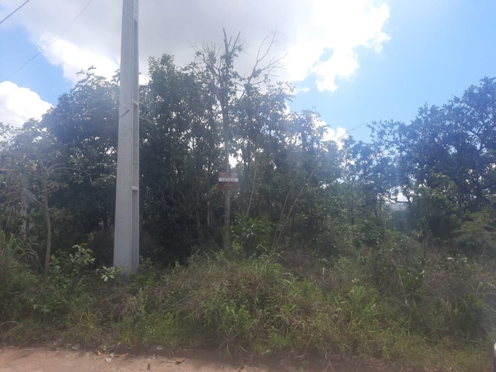 Lote 528m2 – R. Cadido Paulino – Eldorado – Alto Paraíso