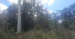 Lote 528m2 – R. Cadido Paulino – Eldorado – Alto Paraíso