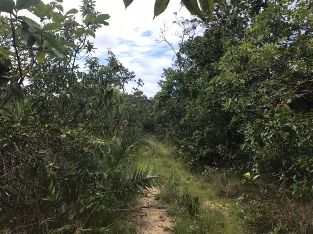 Chácara Suçuarana com acesso ao rio, Próximo a Cachoeira do Poço Encantado – Chapada dos Veadeiros