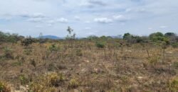 Chácara 4 ha – 13 km de Alto Paraíso sentido São Jorge